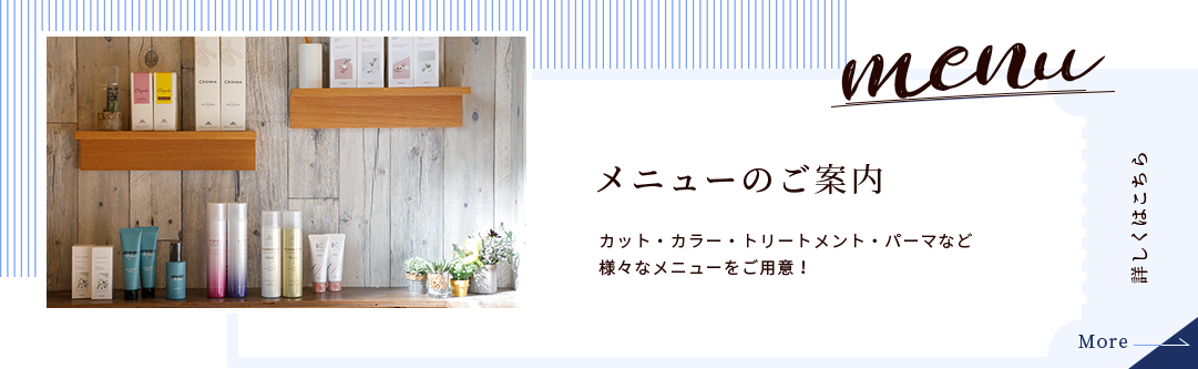 メニューのご案内